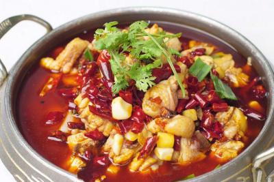  餐飲項目有什么，火鍋雞技術(shù)培訓(xùn)哪里好？